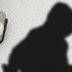 Detectores de movimiento: aliados contra intrusos